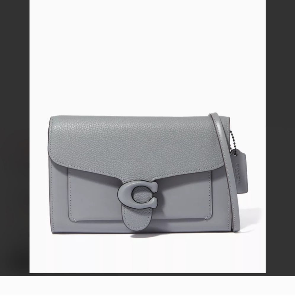 Coach Tabby Chain Leather Clutch